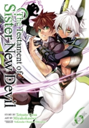 Capa do artigo The Testament Of Sister New Devil Vol. 6