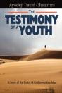 The Testimony Of A Youth - Preview