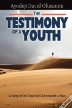 Capa do artigo The Testimony Of A Youth
