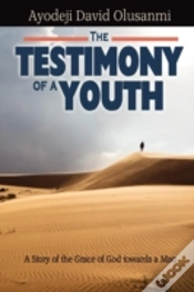 Capa do artigo The Testimony Of A Youth
