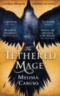 The Tethered Mage - Preview