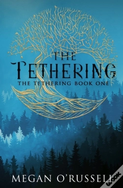 Capa do artigo The Tethering
