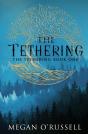 The Tethering - Preview