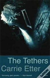 Capa do artigo The Tethers