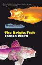 The The Bright Fish - Preview