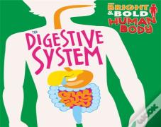 The The Digestive System