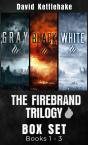 The The Firebrand Trilogy - Preview