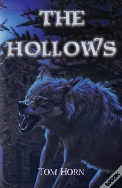 Capa do artigo The The Hollows