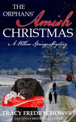 Capa do artigo The The Orphans' Amish Christmas