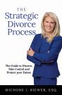 The The Strategic Divorce Process - Preview