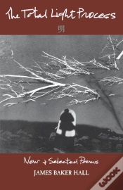 Capa do artigo The The Total Light Process