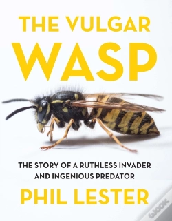 Capa do artigo The The Vulgar Wasp