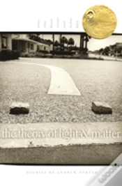 Capa do artigo The Theory Of Light And Matter