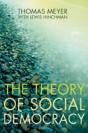 The Theory Of Social Democracy - Preview