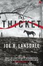 The Thicket - Preview
