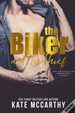 Capa do artigo The Thief