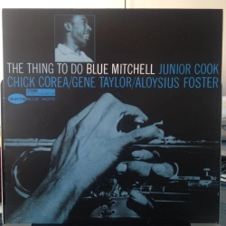 Capa do artigo The Thing To Do - Vinil