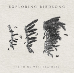 Capa do artigo The Thing With Feathers - CD