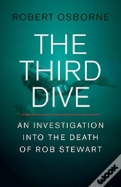 Capa do artigo The Third Dive