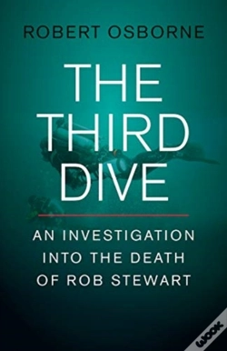Capa do artigo The Third Dive