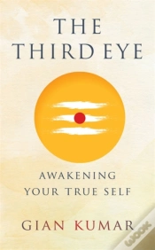 Capa do artigo The Third Eye