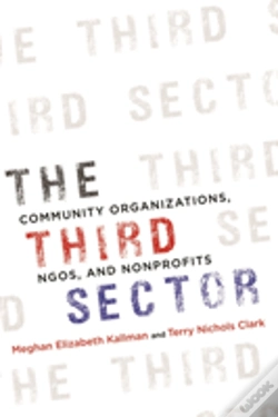 Capa do artigo The Third Sector