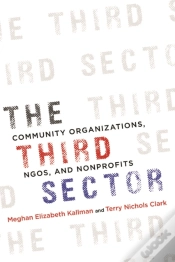 Capa do artigo The Third Sector
