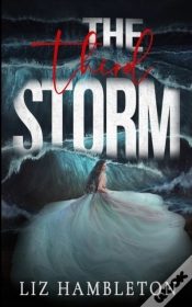 Capa do artigo The Third Storm