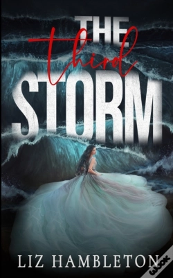 Capa do artigo The Third Storm