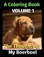 The Thoughts Of My Boerboel - Preview