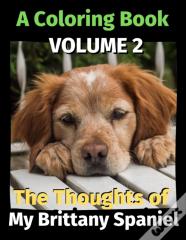 The Thoughts Of My Brittany Spaniel