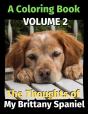 The Thoughts Of My Brittany Spaniel - Preview