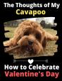 The Thoughts Of My Cavapoo: How To Celeb - Preview