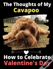 Capa do artigo The Thoughts Of My Cavapoo: How To Celeb