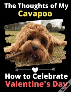 Capa do artigo The Thoughts Of My Cavapoo: How To Celeb
