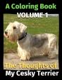 The Thoughts Of My Cesky Terrier - Preview