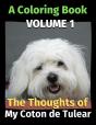 The Thoughts Of My Coton De Tulear - Preview