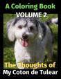 The Thoughts Of My Coton De Tulear - Preview