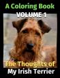 The Thoughts Of My Irish Terrier - Preview