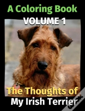 The Thoughts Of My Irish Terrier