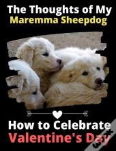 The Thoughts Of My Maremma Sheepdog