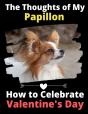 The Thoughts Of My Papillon - Preview