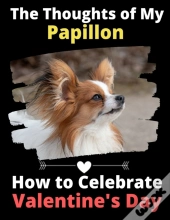 The Thoughts Of My Papillon