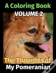 The Thoughts Of My Pomeranian