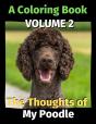 The Thoughts Of My Poodle - Preview
