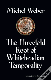 The Threefold Root Of Temporality - Elements Of Whiteheadian Organic Metaphysics