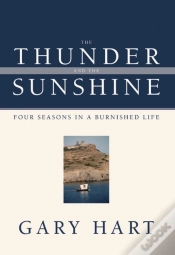 Capa do artigo The Thunder And The Sunshine