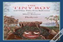 The Tiny Boy And Other Tales From Indonesia