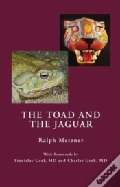 Capa do artigo The Toad And The Jaguar