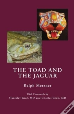 Capa do artigo The Toad And The Jaguar